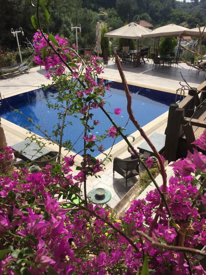 The Stone Castle Boutique Hotel Ağaçlı Extérieur photo